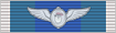 优秀飞行员奖章
